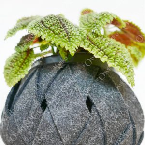 DIY Felt Spiral Basket – 7 Sizes PDF Pattern for Beginners